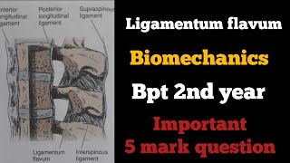 ligamentum flavum biomechanics in tamil ligaments of spinebiomechanics of spinebptbiomechanics [upl. by Nogam934]