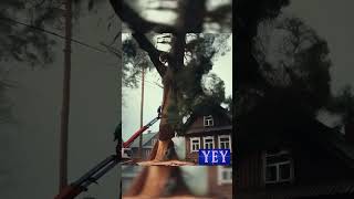 Arborists Narrowly Escape as Tree Falls on House TreeFelling YesEpicYes Chainsawman [upl. by Ellora]