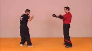 Wing Tsun  Victor Gutierrez 66 [upl. by Suhsoj]