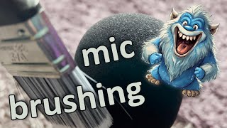 ASMR  mic brushing large brush [upl. by Senn]