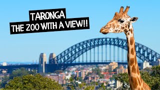 A Day at Taronga Zoo Sydney [upl. by Nosiram]