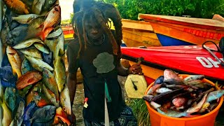 SPEARFISHING IN JAMAICA 🇯🇲 EPIC spearfishing jamaica oil boss spearfishing [upl. by Eillib]