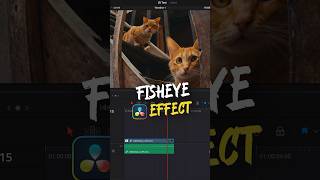 Fisheye effect in DaVinci Resolve videoediting tutorial rial [upl. by Rambort]