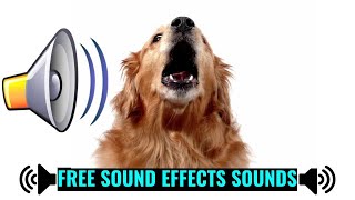 Dog Bark Sound Effect  DOG BARKING Sounds [upl. by Betthel503]