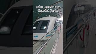 Worlds Fastest Train Shanghai Maglev Adventure travel shanghai maglev [upl. by Dahlia23]