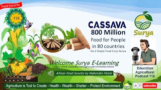 Cassava is a root vegetable staple food in many countries “tapioca” in English “yuca” in Spanish [upl. by Randolf]