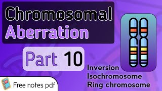 Inversion Isochromosome and Ring chromosomal aberrations [upl. by Nevs340]