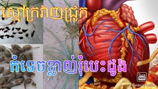 ក្រវាញជ្រូក កែបញ្ហាផ្លូវភេទ ខ្លាញ់រុំបេះដូង Nut​grass treats Heart cholesterol [upl. by Straus348]