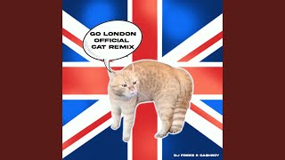 GO LONDON OFFICIAL CAT Remix [upl. by Enidualc]