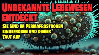 Unbekannte Lebewesen entdeckt  Sie sind im Permafrostboden eingefroren und der taut auf [upl. by Fine]