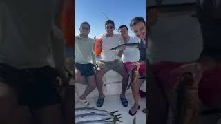 Yellowtail Bonaza on the Sick Day out of San Diego fishing [upl. by Hidie]