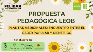 HIERBABUENA PLANTAS MEDICINALES ENCUENTRO ENTRE EL SABER POPULAR Y CIENTÍFICO [upl. by Ignazio155]