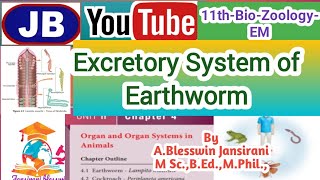 11th BioZoo4Organ and Organ system in Animals Excretory system of Earthworm [upl. by Rubio622]