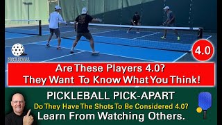 Pickleball Skill Rating Do You Think These Players Are 40 Level Players They Want Your Opinion [upl. by Isidoro]