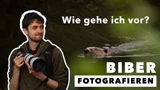 Der Biber in der Stadt  Abenteuer Naturfotografie [upl. by Keely203]