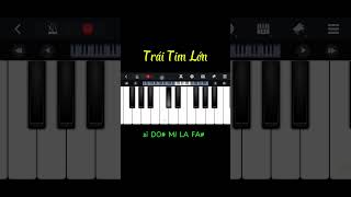 Trái Tim Lớn  Piano Cover piano pianotutorial tiktok pianocover music pianomusic [upl. by Nodrog]