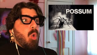 Possum reaction video [upl. by Chadwick]