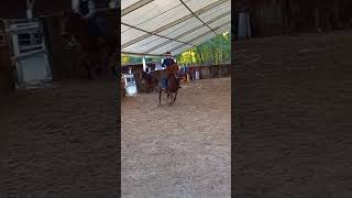 Jai failli mourir mwa  cestfaitpourmoi horse equestrian [upl. by Ahsaz864]