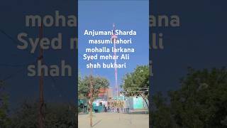 Lori mohalla larkana Syed mehar Ali shah bukhari video dekhkar channel ko subscribe kar lena [upl. by Alekat522]