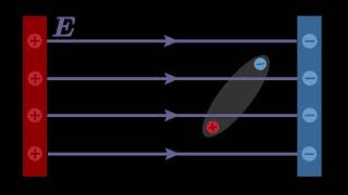 Electric Dipole Moment Force Torque Potential Energy Work Electric Field Physics [upl. by Ysied]