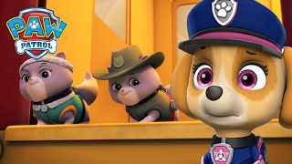 Misja ratunkowa pieski ratują królewskie kocięta  Psi Patrol PAW Patrol po polsku [upl. by Narud9]