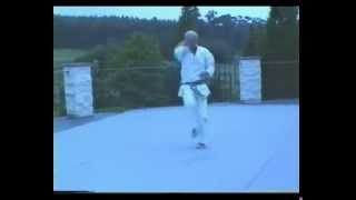 Tatsuo Suzuki  Seishan 十三 kata [upl. by Asiluj]