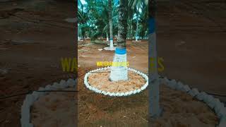 Farm land sale in Coimbatore farmland lowbudget tredingshorts investmentproperty kovai [upl. by Enilekaj999]