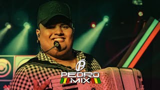 Seu Perfil  Tarcísio do Acordeon Reggae Remix 2021 DJ PEDRO MIX [upl. by Enilrae]