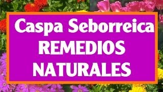 Síntomas de la Dermatitis Seborréica Causas Tratamientos y Remedios [upl. by Ajin]