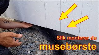 Musebørste  slik monterer du musebørsten [upl. by Glanti]