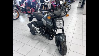 2025 HONDA GROM MATTE BLACK METALLIC [upl. by Ennairol674]