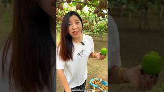 Amazing Fruit Farm  Beautiful Fresh Kiwi 🥝🥝 Harvesting with Rural Farmer shorts youtubeshorts [upl. by Akayas396]