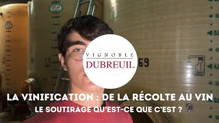 VINification d’un vin blanc 55  Le SOUTIRAGE [upl. by Auguste474]