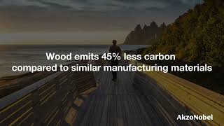 Sikkens Wood Coatings  Wood  Sustainable material [upl. by Tnilc]