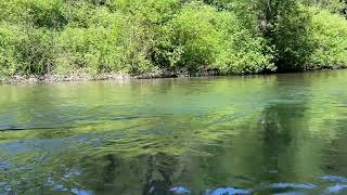 Cowichan River Fishing [upl. by Ithnan]