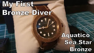 My First Bronze Diver  Aquatico Sea Star Bronze [upl. by Ynnob]