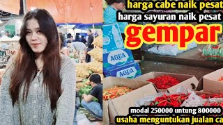 harga cabe malam ini naiksayuran naikhargausaha untung banyak jualan cabe6 des 2024 [upl. by Nide]