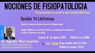 fisiopatologia 14 linfomas [upl. by Nikos]