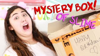 200 MYSTERY SLIME BOX FOR MY BIRTHDAY Slimeatory 485 [upl. by Dita92]