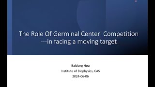 Germinal center competition [upl. by Yretsym]