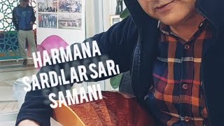 harmana serdiler sarı samanı bilsem music [upl. by Cain33]