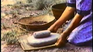 Pine Nuts the Movie Paiute Shoshone amp Washo pine nut harvesting and preparation [upl. by Colver]