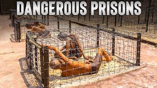 Prisons More Dangerous Than DEATH SHOCKING [upl. by Ymme222]