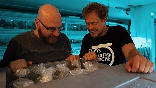 XXL Aquarium Fisch Unboxing mit Martins Fische auspacken [upl. by Orest987]