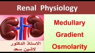 Renal physiology Medullary gradient Osmolarity Role of vasa recta [upl. by Nairret]