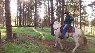 Saddle Up Horseback riding in Yellowstone [upl. by Scales129]