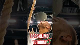 Seil hochklettern leicht gemacht🪢💪Seilklettern FitnessTutorial WorkoutTipps Climbing Ropeclimb [upl. by Nnyled907]