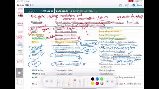 oncogene Pathology 43  First Aid USMLE Step 1 in UrduHindi [upl. by Amada]