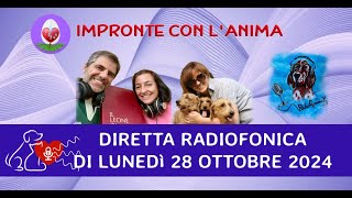 Diretta radiofonica di lunedì 28 Ottobre 2024 [upl. by Aehcim]