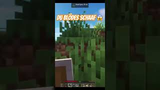 Du blödes Schaaf minecraft hard hartkern schock funny [upl. by Tore]